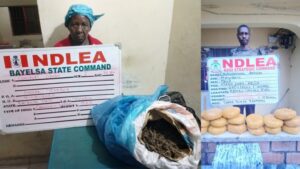 image_750x_69105f455009e