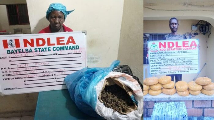 image_750x_69105f455009e