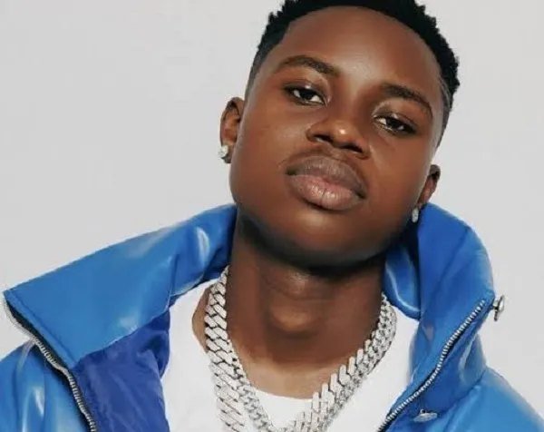 “I Did Nothing Wrong,” Peller Says on Benin Palace Controversy, N395m Lawsuit