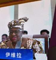 WhatsApp Image 2025-12-11 at 12.57.39 PM