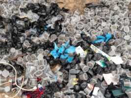 WhatsApp Image 2025-12-12 at 4.42.24 PM