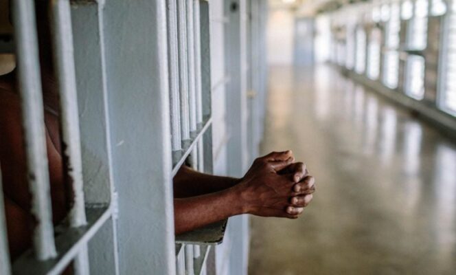 WhatsApp Image 2026-01-01 at 9.04.12 AM