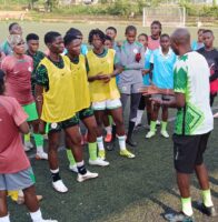 Falconets