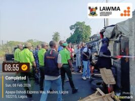 Ladipo spare part market
