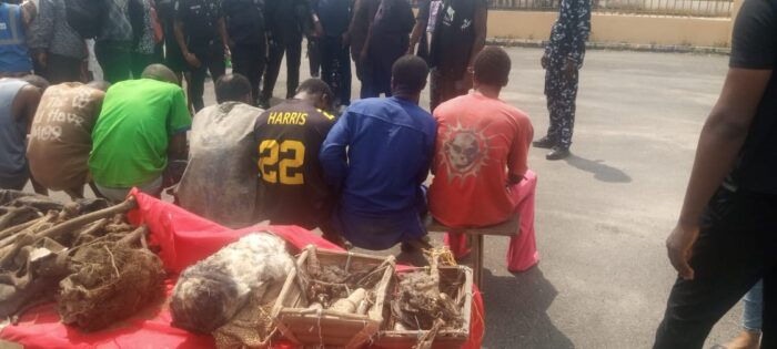 WhatsApp Image 2026-02-09 at 5.47.04 PM