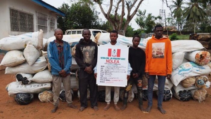 WhatsApp Image 2026-02-15 at 1.00.24 PM