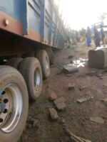 WhatsApp Image 2026-02-25 at 3.43.29 PM