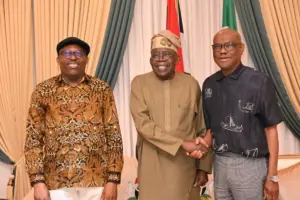 Wike-fubara-tinubu