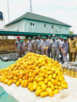 1774555311732659-0 (1)