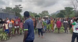 WhatsApp Image 2026-03-04 at 12.09.30 PM