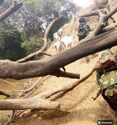 WhatsApp Image 2026-03-26 at 11.07.53 AM (2)