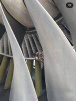 WhatsApp Image 2026-03-29 at 5.45.30 PM