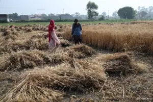 record global hunger because of Iran war