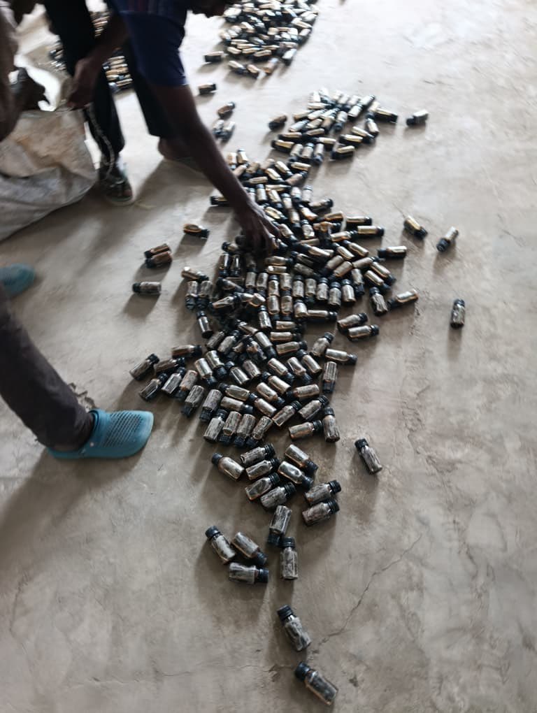 Customs Intercepts Psychoactive Substances, Endangered Wildlife in Maiduguri