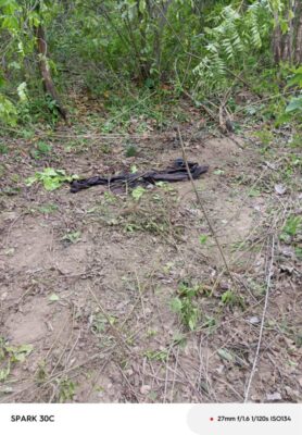 WhatsApp Image 2026-04-24 at 7.11.25 AM