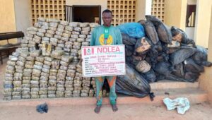 image 750x 69e4a21e4bc30