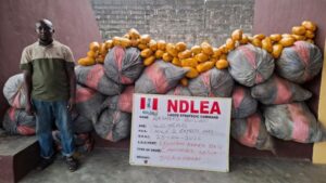 Bizman Excretes 45 Cocaine Pellets as NDLEA Uncovers 'Captagon' Supply in Kwara