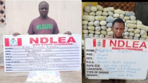 Bizman Excretes 45 Cocaine Pellets as NDLEA Uncovers 'Captagon' Supply in Kwara