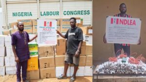 Bizman Excretes 45 Cocaine Pellets as NDLEA Uncovers 'Captagon' Supply in Kwara
