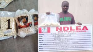 Bizman Excretes 45 Cocaine Pellets as NDLEA Uncovers 'Captagon' Supply in Kwara