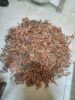 IMG-20260531-WA0067