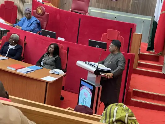 Minister-designate for Power, Joseph Olasunkanmi Tegbe during his screening at the senate.
