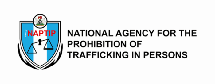 naptip_logo_page-header-768×300
