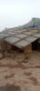 IMG-20260603-WA0067