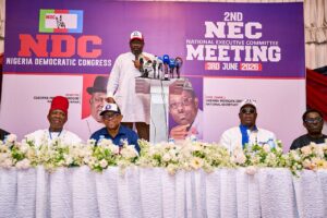 NDC NEC