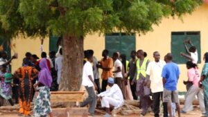Adamawa LG polls