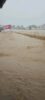 Flood