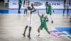 D’Tigers