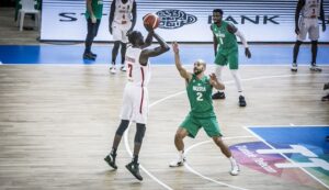 D’Tigers