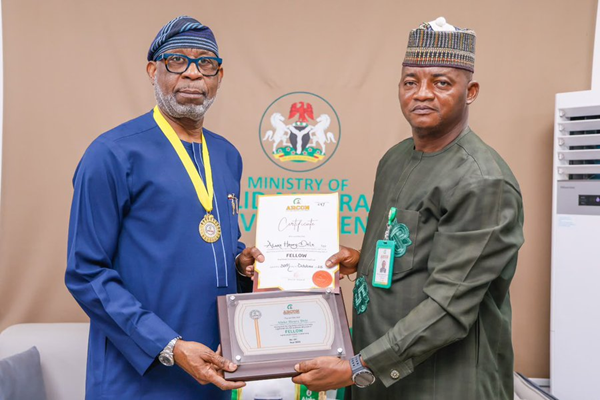 Dele Alake ARCON award