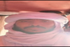 HN63qx1XoAATewD