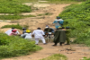 The stream people of Oko-Iyanrin, Amuloko, Ibadan survive on
